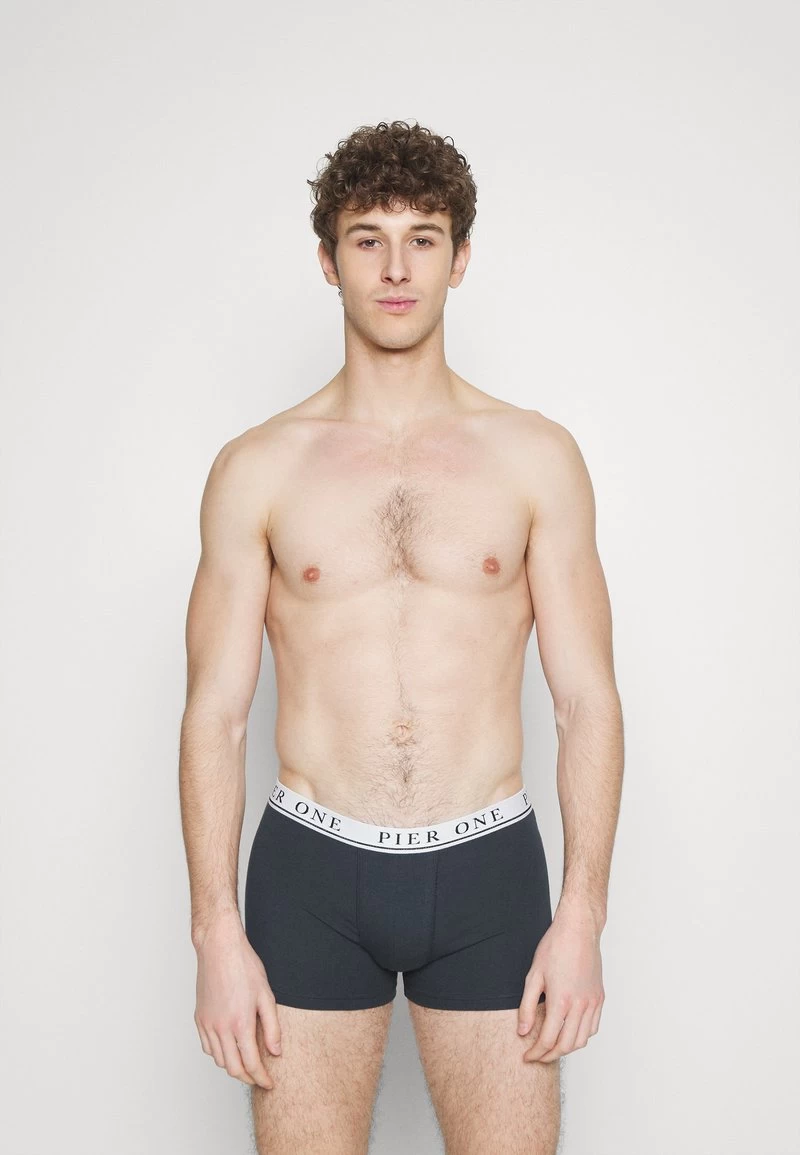 Pier One 5 PACK - Panties - White/pink/light Blue – Bild 3