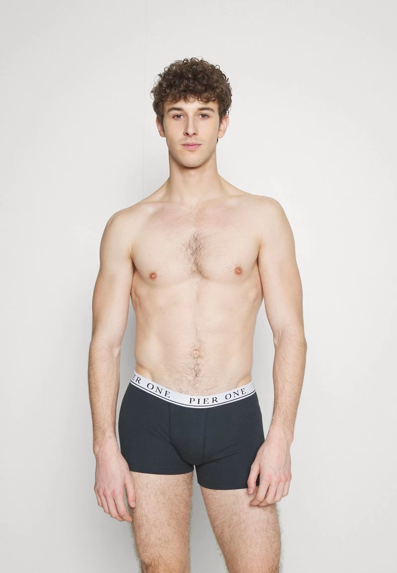 Pier One 5 PACK - Panties - Beige/green/bordeaux – Bild 4