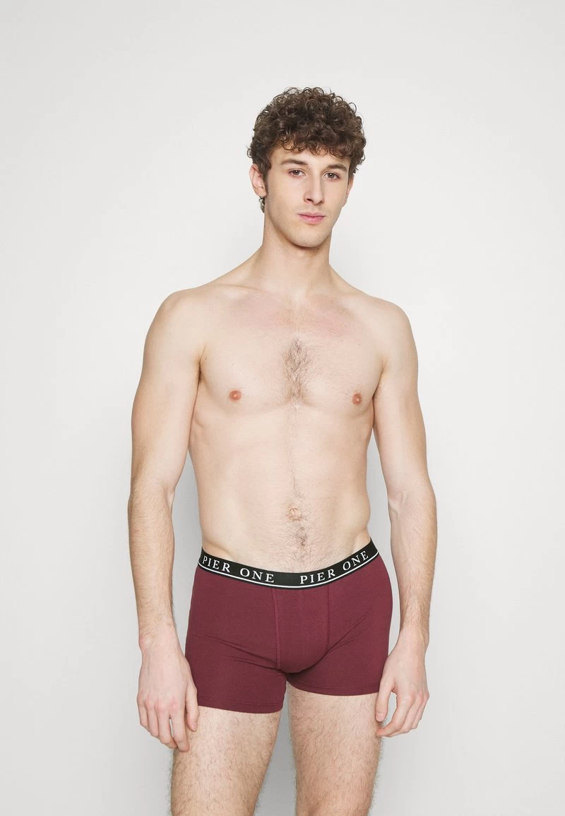 Pier One 5 PACK - Panties - Beige/green/bordeaux – Bild 3